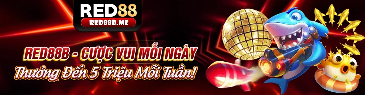 Giao diện ứng dụng 789b3 chính thức trên điện thoại